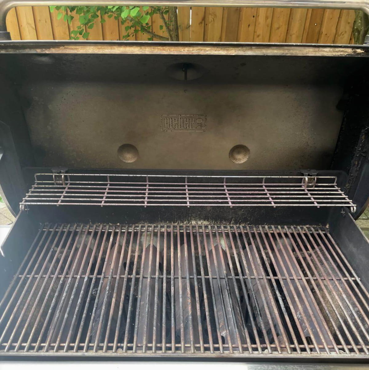 Weber Genesis before an Aspect deep clean